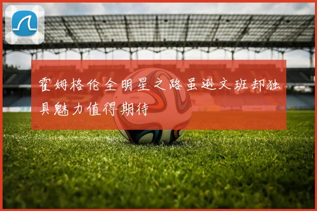 霍姆格伦全明星之路虽逊文班却独具魅力值得期待