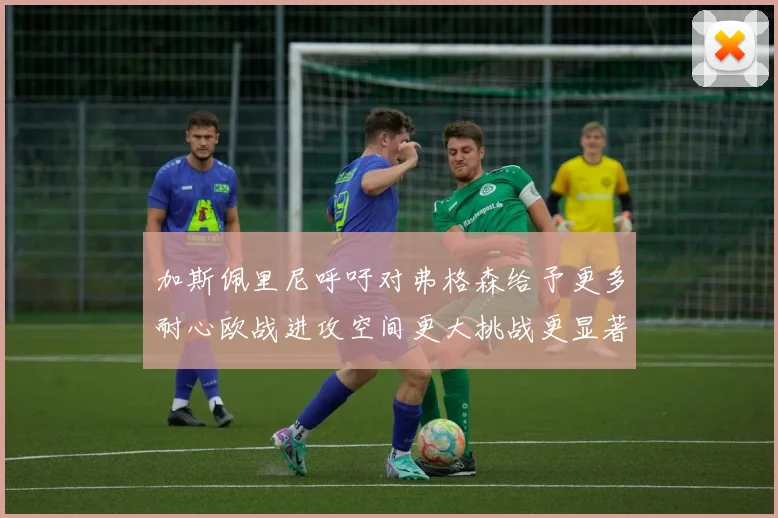 加斯佩里尼呼吁对弗格森给予更多耐心欧战进攻空间更大挑战更显著