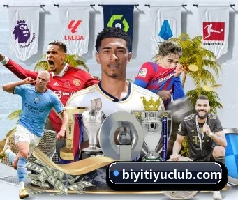 必一体育 APP | BSports